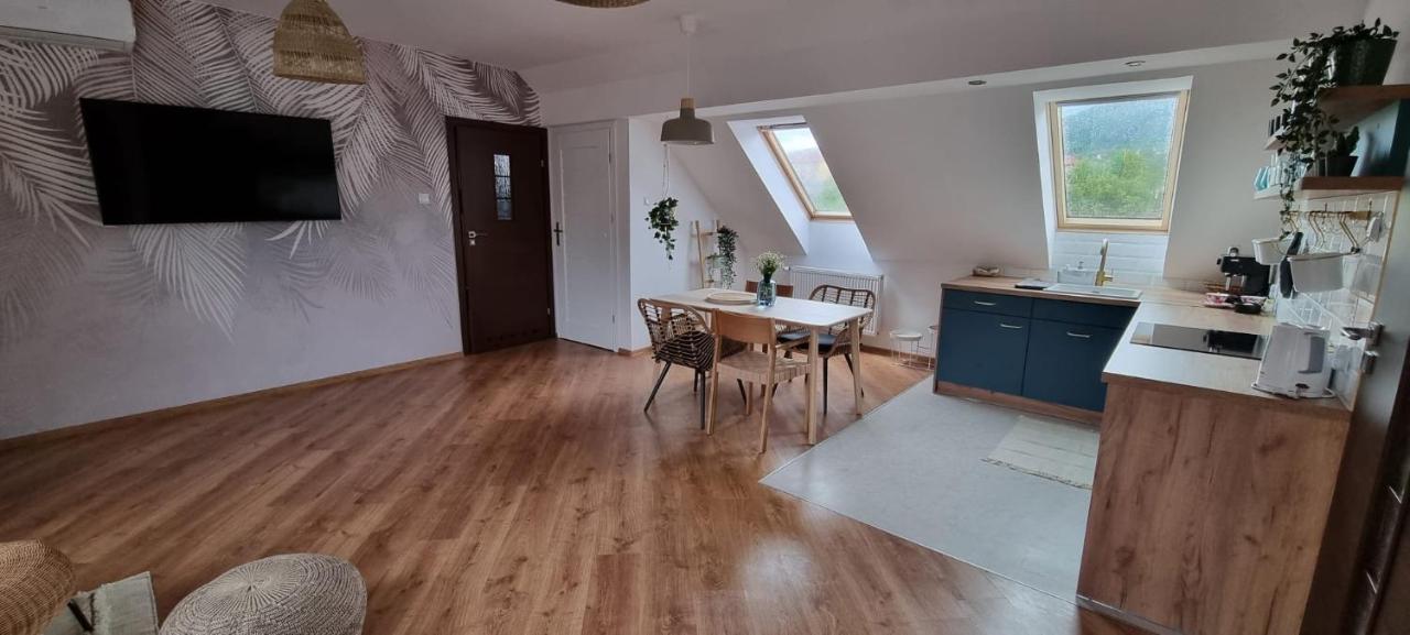 Apartament W Centrum - Nasze Poddasze Ustrzyki Dolne Dış mekan fotoğraf