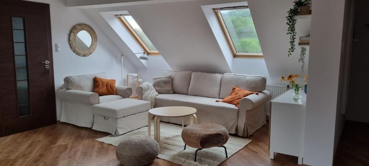 Apartament W Centrum - Nasze Poddasze Ustrzyki Dolne Dış mekan fotoğraf