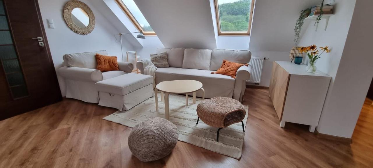 Apartament W Centrum - Nasze Poddasze Ustrzyki Dolne Dış mekan fotoğraf