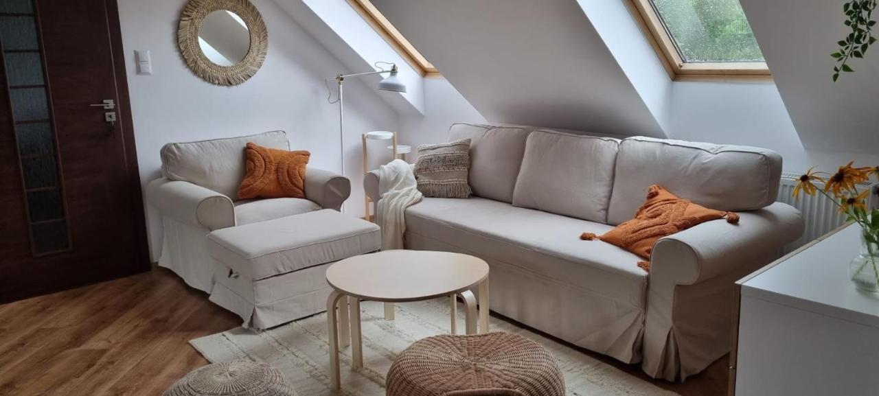 Apartament W Centrum - Nasze Poddasze Ustrzyki Dolne Dış mekan fotoğraf
